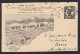 1 1/2 P. Bild Ganzsache "Tiere Auf Weide" - Gebraucht 1899 Ab Brisbane - Cartas & Documentos