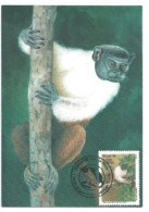 Brazil 1994 OFFICIAL MAXIMUM CARD MAX-186 SUIM DE COLEIRA MONKEY - Tarjetas – Máxima