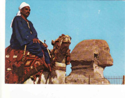 Egypt,  Giza, Camel Driver Near The Famous Sphinx, Unused - Gizeh