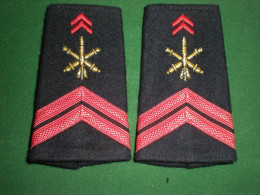 PAIRES EPAULETTES CAPORAL - ARTILLERIE - Equipement