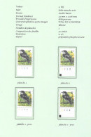 Belgium1996 BUZIN Birds - Gobe-mouche Noir/bonte Vliegenvanger 4 Bfrs Plaatnrs 1 - 2 Mint  Plain Stamps +  Preos (scans) - 2011-..