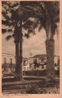 ESPAGNE -  Tenerife - En Thuerto De La Cruce - Vue Générale - Carte Postale Ancienne - Tenerife