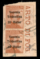 Occupazioni I Guerra Mondiale - Trentino-Alto Adige - 1918 - 20 Heller Su 20 Cent (30+30e) Coppia Verticale Usata Su Fra - Altri & Non Classificati