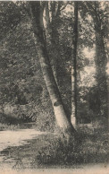 FRANCE - Ville D'Avray - Parc Du Château - Le Pont De Lierre - Carte Postale Ancienne - Ville D'Avray