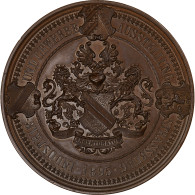 Allemagne, Médaille, Exposition Industrielle De Strasbourg, 1895, Bronze, SPL+ - Other & Unclassified