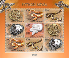 Togo 2023, Animals, Royal Python, 9val In BF - Serpents
