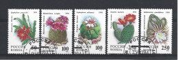 Russia 1994 Cactusses Y.T. 6052/6056 (0) - Used Stamps
