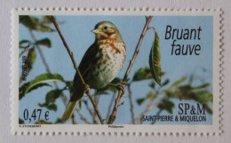 SPM 2009  Faune Oiseaux Le Bruant Fauve YT 939    Neuf - Unused Stamps