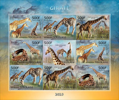 Togo 2023, Animals, Giraffe, 9val In BF - Giraffen