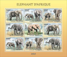 Togo 2023, Animals, Elephant, 9val In BF - Eléphants