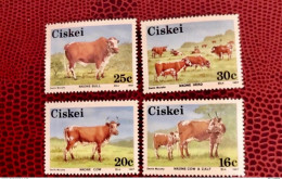 CISKEI Afrique Du Sud 1987 4v Neuf MNH ** YT 115 / 118  Mammifero Mammifère Mammal Mamífero Säugetiere  SOUTH Africa - Kühe