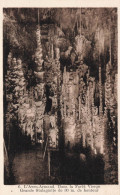 FRANCE - L'Aven Armand - Dans La Forêt Vierge - Grandes Stalagmite - Carte Postale Ancienne - Sonstige & Ohne Zuordnung