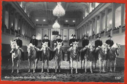 Vienna, Scuola Di Equitazione Spagnola, La Quadriglia, Spanish Riding School, Spanische Reitschule - Wien Mitte