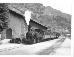 CPSM D'un Train à La Gare De Le Cheylard (07) - Le Cheylard