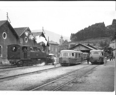 CPSM D'un Train à La Gare De Le Cheylard (07) - Le Cheylard