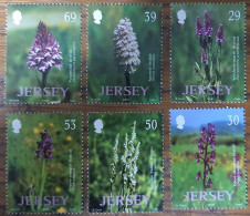 Jersey / Plants / Flowers - Jersey