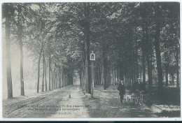 Bornem - Bornhem - Lieve Wandeling In Den Omtrek Van Het Reuzenhuis - 1913 - Bornem