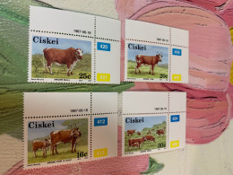 Ciskei Stamp Farm Ox 4 Values MNH - Cows