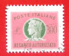 1955-90 (17) Recapito Autorizzato Filigrana Stelle IV Lire 300 - Usato (leggi Messaggio Del Venditore) - Eilpost/Rohrpost