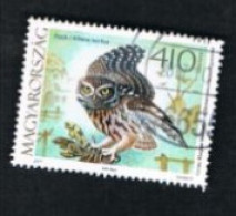 UNGHERIA (HUNGARY) -  SG 5598  - 2017 BIRDS: ATHENE NOCTUA   -  USED° - Gebraucht