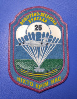PVC Patch 25th Airborne Brigade Of Air Assault Forces UKRAINE ARMY Aufnäher Ecusson Parche - Patches
