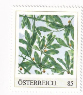 ÖSTERREICH - 125 Jahre SECESSION  - KUPPEL Von Innen Joseph Maria Olbrich - Personalisierte Briefmarke ** Postfrisch - Francobolli Personalizzati