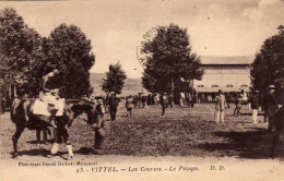 VITTEL  Les Courses  Le Pesage - Vittel