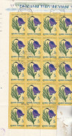 1970 - Fleurs Des Steppes / FULL X 18 - Feuilles Complètes Et Multiples