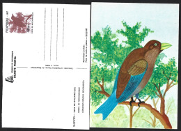 Entire Postcard From Mozambique With Bird From Mozambique 'Coracias Naevius' From 1987.Gehele Ansichtkaart Uit Mozambiq - Colibríes