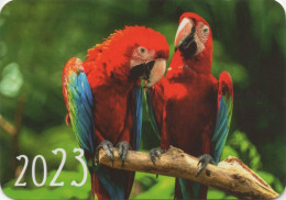 Parrots, Birds, Belarus, 100 X 70 Mm - Tamaño Pequeño : 2001-...