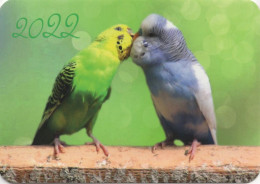 Parakeets, Birds, Belarus 100 X 70 Mm - Tamaño Pequeño : 2001-...