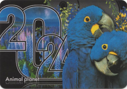 Parrots, Birds, Russia, 100 X 70 Mm - Tamaño Pequeño : 2001-...