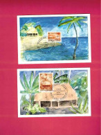 2 CP Cartes Maximum FDC De 2004 - Timbres Du BF 18 - Cartoline Maximum