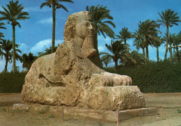 Egypte Giza Gizeh The Sphinx Of Sakkara - Guiza