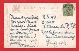RNAS + ROYAL FLYING CORPS  R T BRADY    1917   RAPHAEL TUCK HORSE STUDIES  SERIES HACKNEY MARE  + FOAL ARTIST DRUMMOND  - Guerre 1914-18