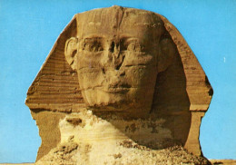 Egypte Giza Gizeh The Head Of The Famous Sphinx - Guiza