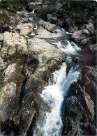 30 SAINT JEAN DU GARD CASCADES DU GARDON - Saint-Jean-du-Gard