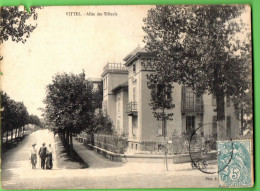 VITTEL - Allée Des Tilleuls - Vittel