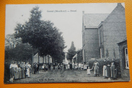 GESTEL  (Meerhout)  -  Dreef  -  1913 - Meerhout