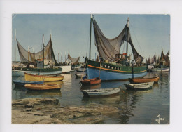 Lesconil - Bateaux De Pêche Dans Le Port (GV Le Gulvinec) - Lesconil