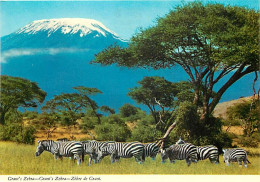 Animaux - Zèbres - Zèbre De Grant - Mont Kilimandjaro - CPM - Carte Neuve - Voir Scans Recto-Verso - Cebras