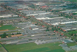 Pays-Bas - Nederland - Aalsmeer - With The Targest Flower Auction In The World, In The Heart Of Approximately 1250 Acres - Aalsmeer