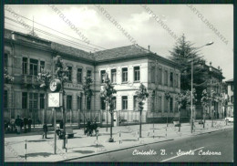 Milano Cinisello Balsamo Scuola Foto FG Cartolina ZK1843 - Milano