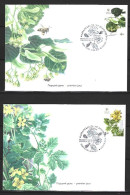 UKRAINE. N°1329-32 De 2017 Sur 4 Enveloppes 1er Jour. Plantes Médicinales. - Medicinal Plants