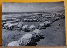 (V1) VIAREGGIO - ANIMATA - LA SPIAGGIA - VIAGGIATA - Viareggio