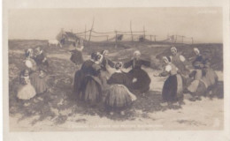 LA RONDE DES PETITES BIGOUDENES  Reproduction Tableau Edouard DOIGNEAU - Thomas