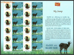 India New *** 2024 Nilgiri Tahr,Forest Goat,Animal,Endangered (IUCN 3.1), Full Sheet MNH (**) Inde Indien - Neufs