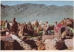 Iran The Spring Camp Of The Kashkai At Khosrow-Shirin - Iran