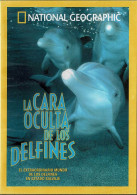 La Cara Oculta De Los Delfines. DVD - Autres & Non Classés