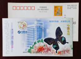 China 2000 Chinese Butterfly Pre-stamped Card Papilio Paris Hermosanus - Vlinders